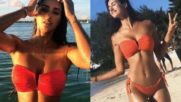 दिशा पाटनी