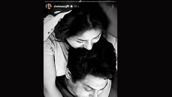 शहनाज ने लुटाया सिद्धार्थ के लिए प्यार