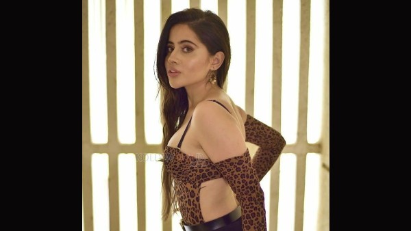 भड़के युवराज वाल्मीकि भड़के युवराज वाल्मीकि