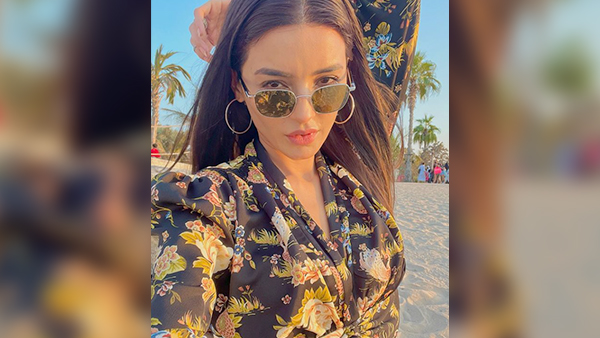 सीरियल्स का हिस्सा रहीं हैं 