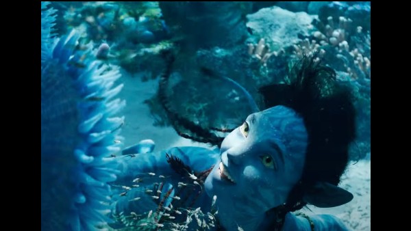 भारतीय दर्शकों को खूब पसंद आयी फिल्म :