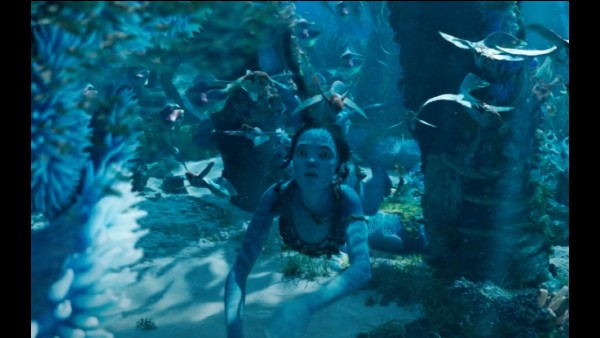 भारत में कर सकती है 400 करोड़ की कमाई :