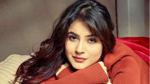 बिग बॉस ने बनाया इंडिया की शहनाज : बिग बॉस ने बनाया इंडिया की शहनाज :