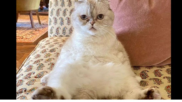 बॉलीवुड सितारों से ज्यादा अमीर :