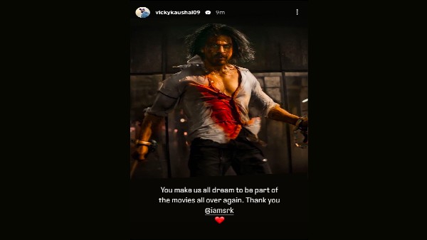 icky kaushal, pathaan