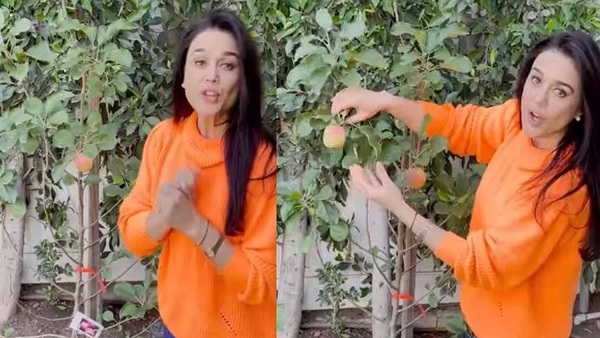 प्रीति जिंटा :