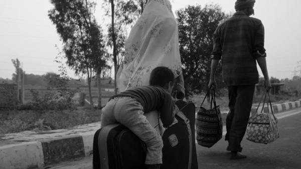 निर्देशन