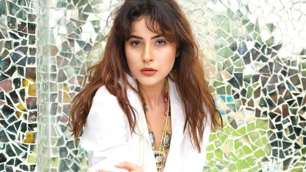 शहनाज गिल : शहनाज गिल :