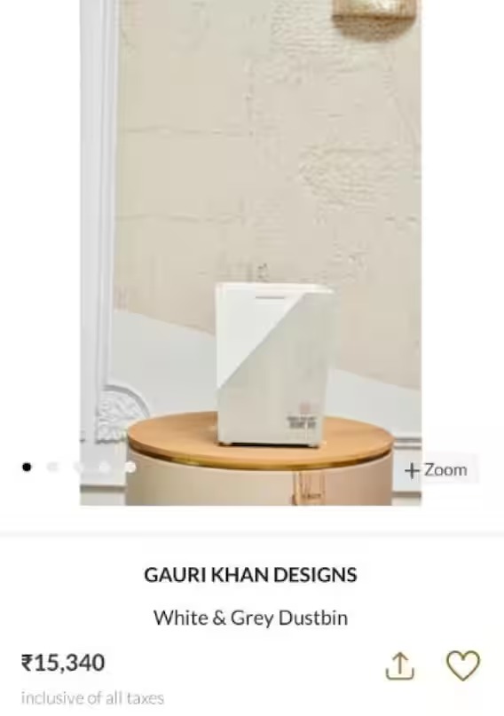 gauri khan dustbin