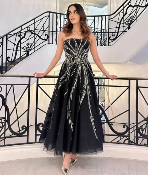 Manushi chhillar cannes