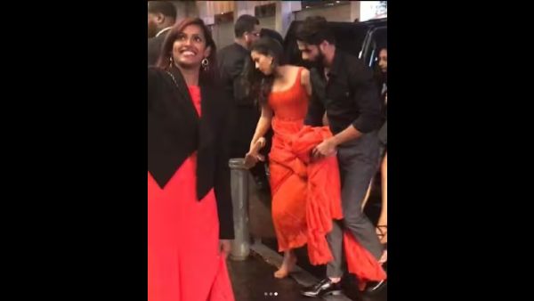 mira rajput shahid kapoor