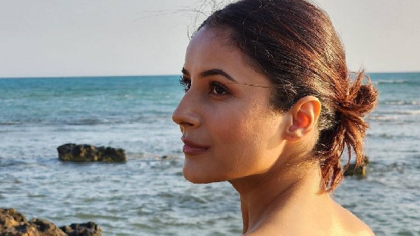 shehnaaz gill