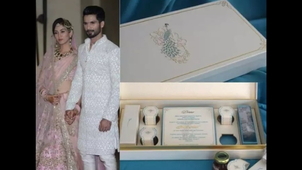 shahid kapoor mira rajput