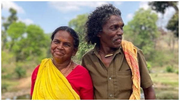 The Elephant Whispers