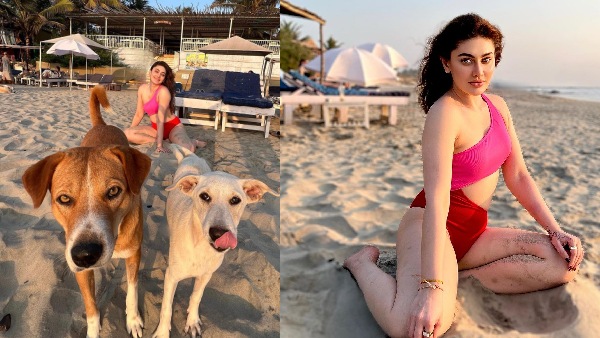 shefali jariwala
