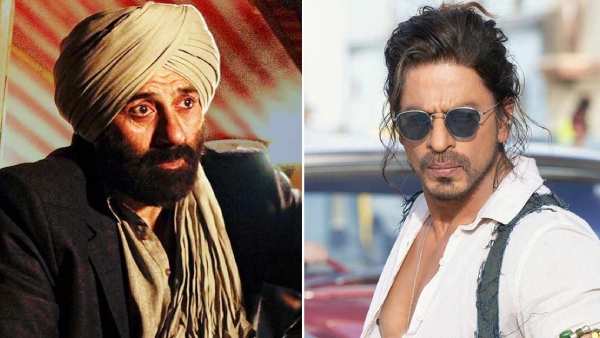 पठान के लाइफटाइम कलेक्शन को पार कर 'गदर 2' बनी सबसे बड़ी हिंदी फिल्म