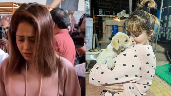 Israel Palestine Crisis