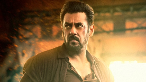 tiger-can-take-on-an-army-of-people-with-his-bare-hands-says-salman-khan-on-tiger-3-action