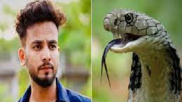 elvish yadav snake venom