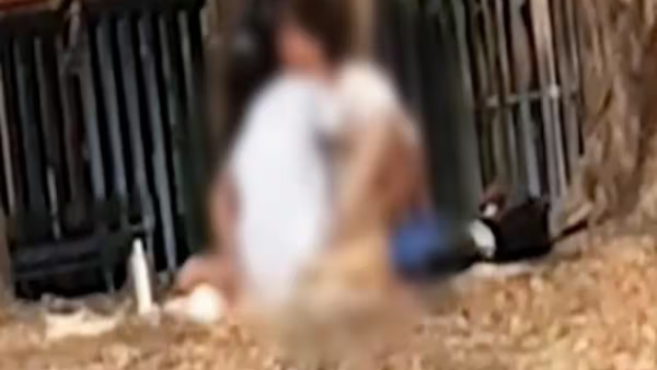 viral video viral video