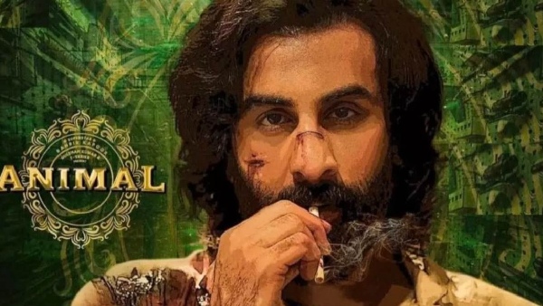 animal, box office, ranbir kapoor