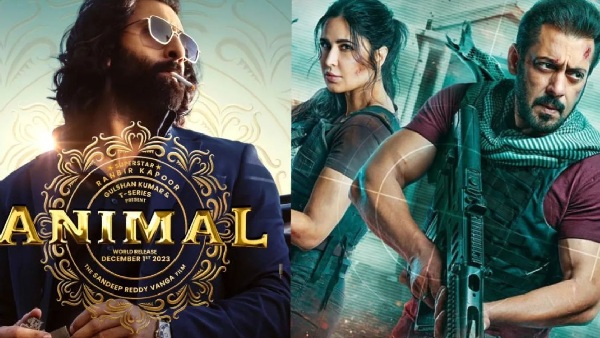 animal, tiger 3, box office