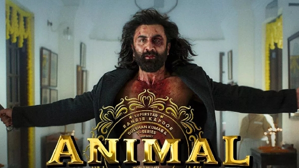 animal, box office, ranbir kapoor