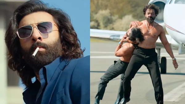 animal, box office, ranbir kapoor