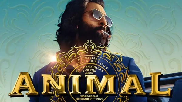 Animal Box Office Collection