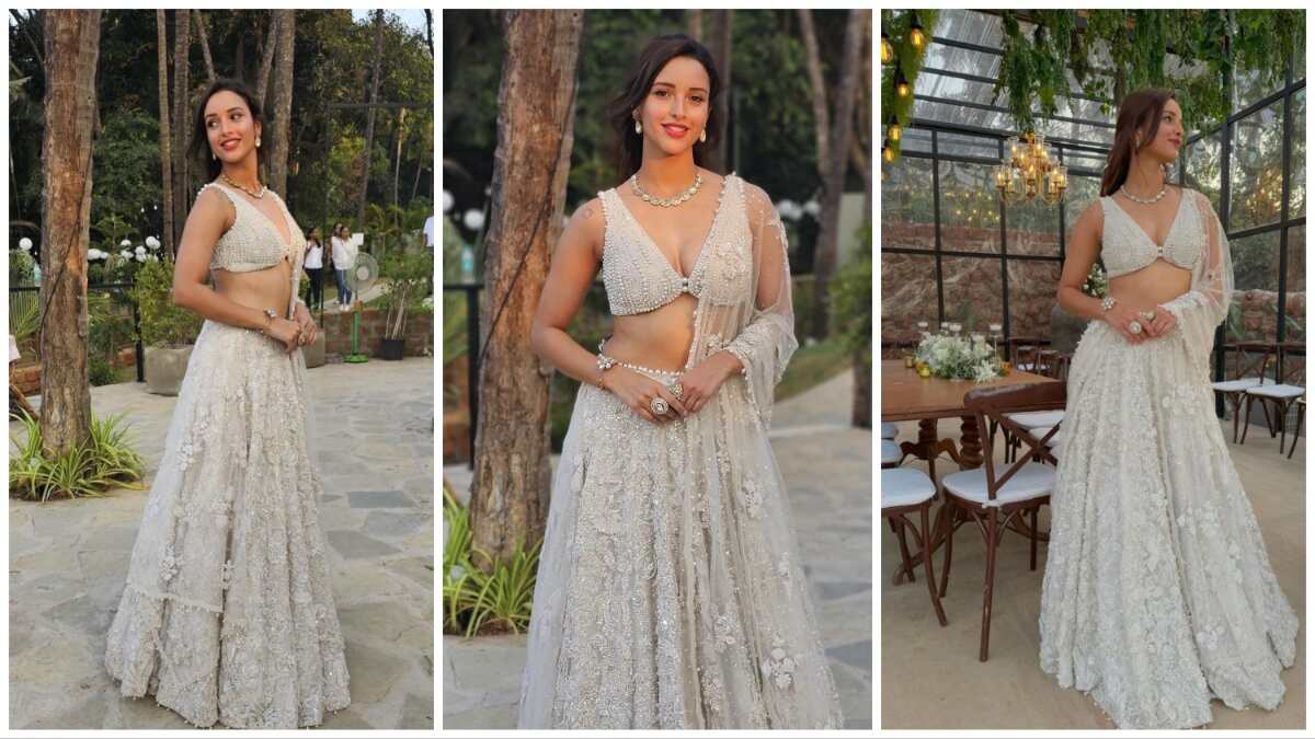नेशनल क्रश बन चुकी Tripti Dimri की खुबसूरत फोटोज देख फैंस हुए दीवाने, 'भाभी 2' को दे दिए शादी के प्रपोजल