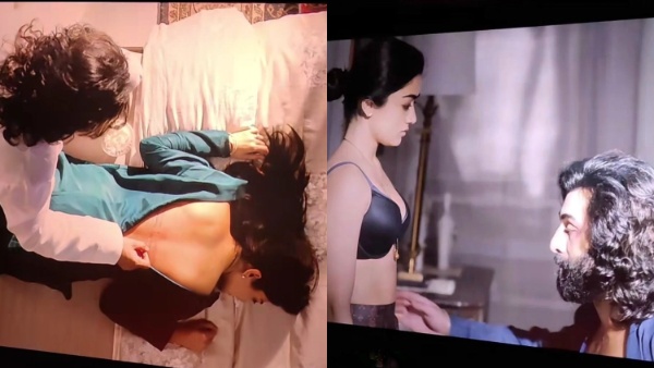 Animal Leaked Intimate Scene Animal Leaked Intimate Scene