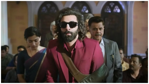 Animal, ranbir kapoor