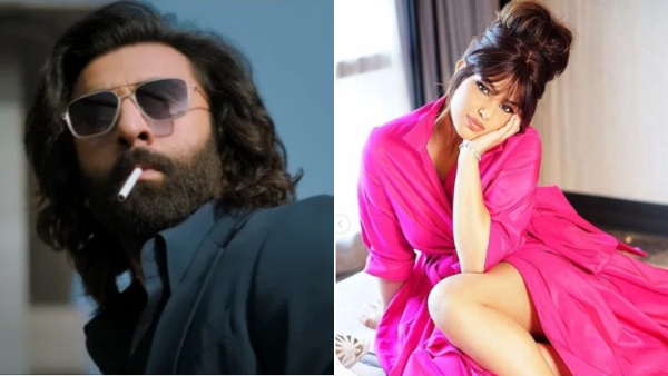 Bollywood Hindi News 