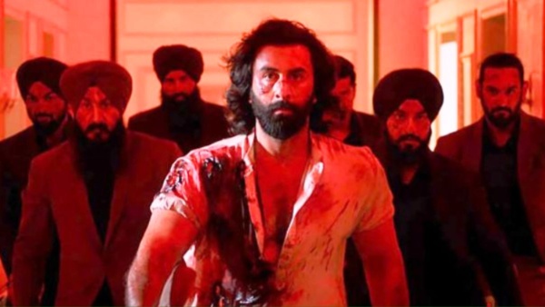 Animal Box Office Collection