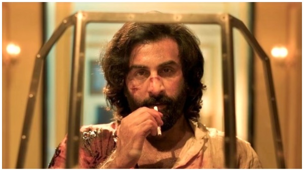 animal, Box Office, ranbir kapoor