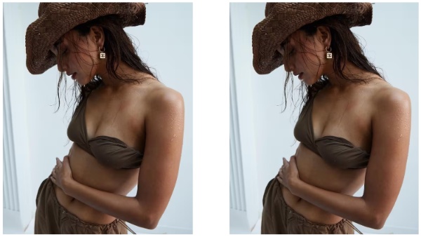 Tripti Dimri, animal, ranbir kapoor