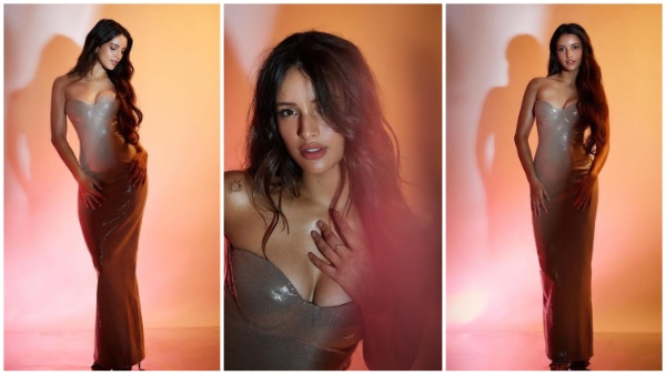 Tripti Dimri, animal, ranbir kapoor