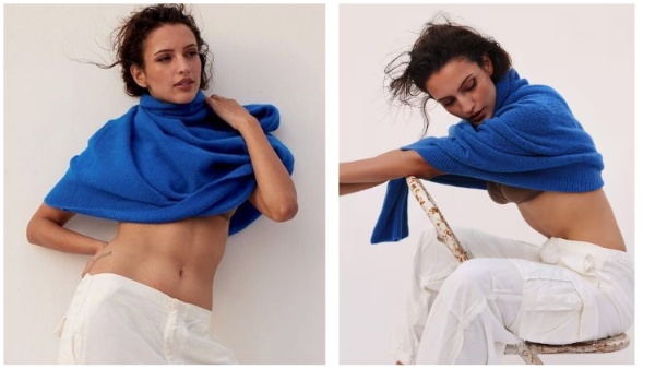 Tripti Dimri, animal, ranbir kapoor