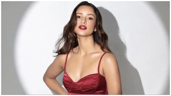 Tripti Dimri, Ranbir kapoor, Animal