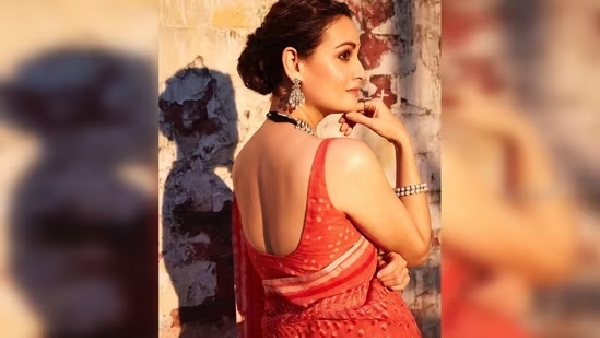  Dia Mirza, vaibhav rekhi