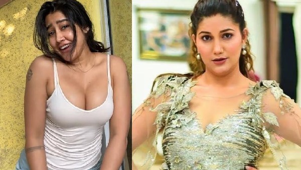 sofia ansari, sapna choudhary