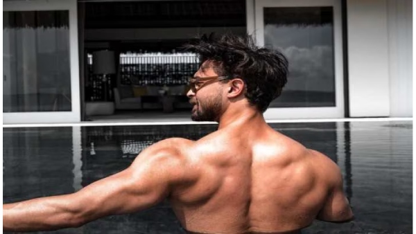 Ayush Sharma, Arpita Khan