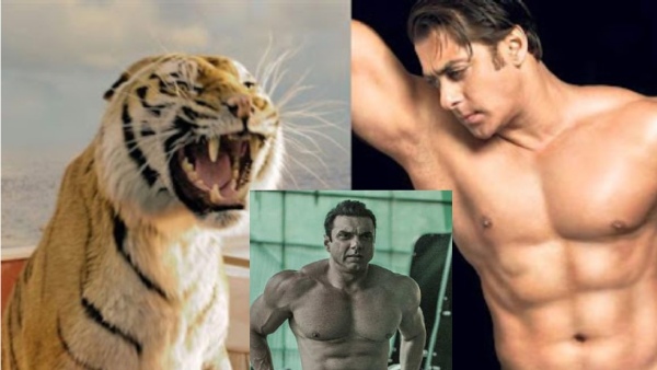 sher khan, salman khan, sohail khan