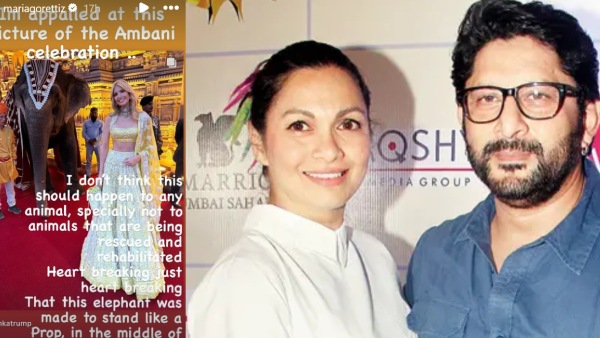 arshad warsi anant ambani radhika merchant