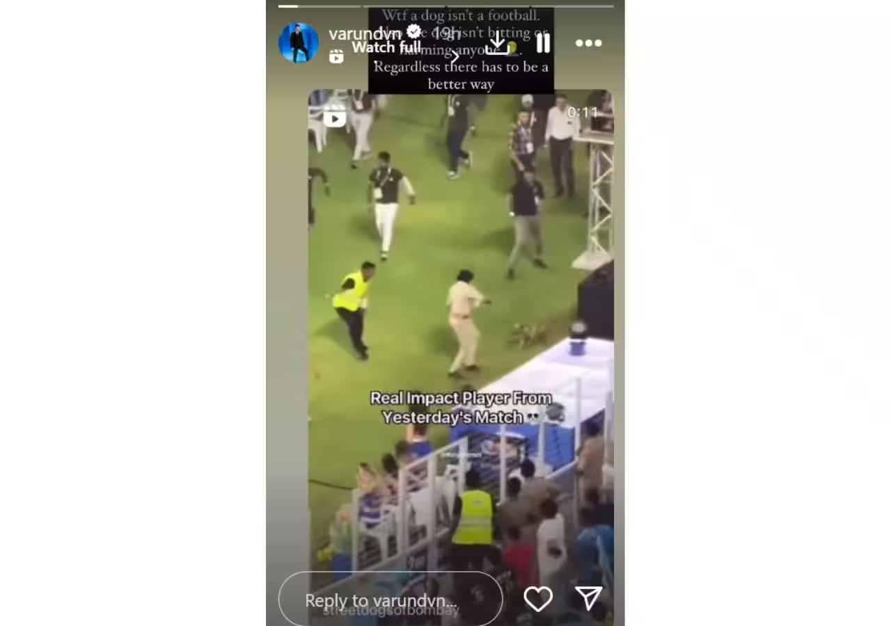 आईपीएल मैच में कुत्ते पर हमला करने से नाराज वरुण धवन