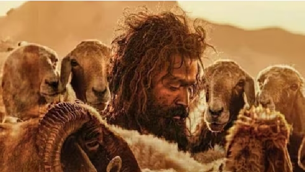 The Goat Life Box Office