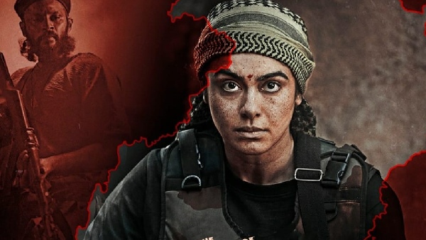 bastar the naxal story