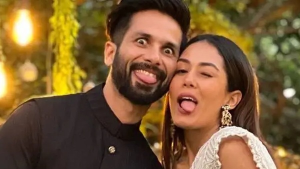 mira rajput shahid kapoor