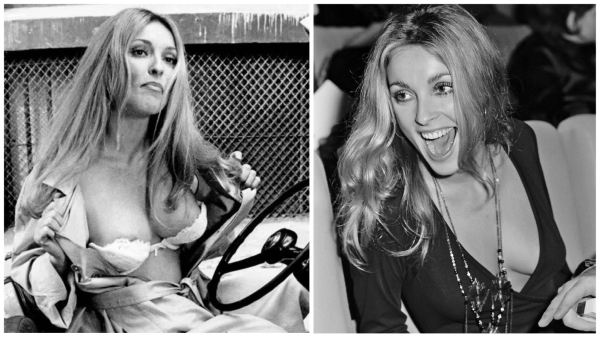 sharon tate Hollywood