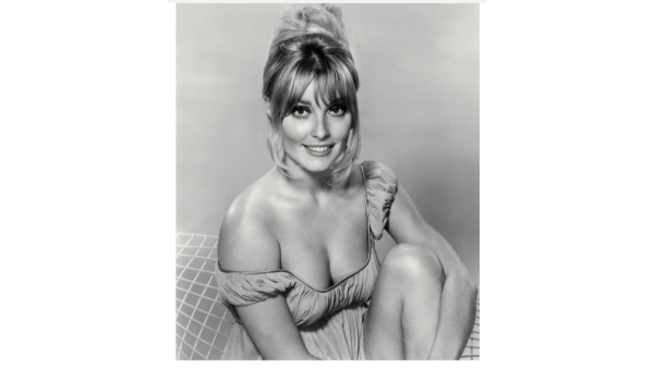 sharon tate Hollywood